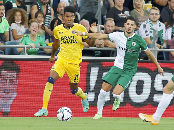 אין פתרונות בהתקפה (אלן שיבר)