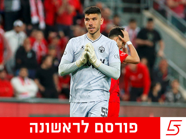 (אלן שיבר)