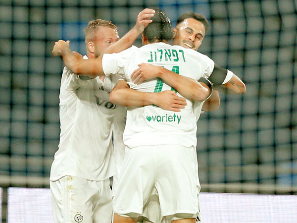 הירוקים חוגגים (אלן שיבר)