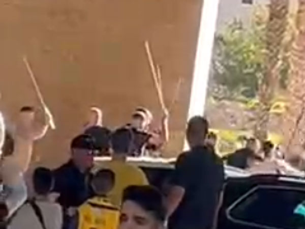 חמור