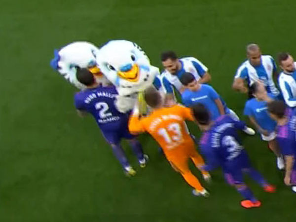 חשוד בהטרדת הקמע (צילום מסך)