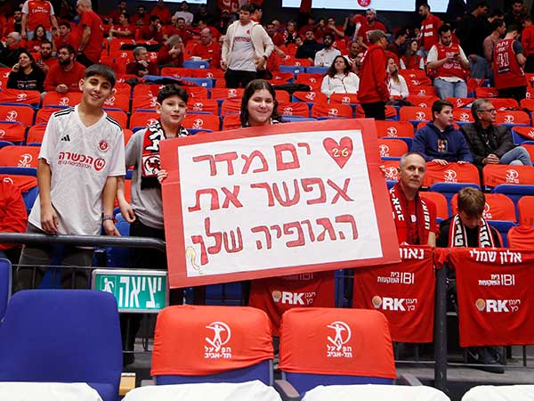(אלן שיבר)