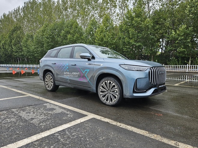 צילום: יואב פולס