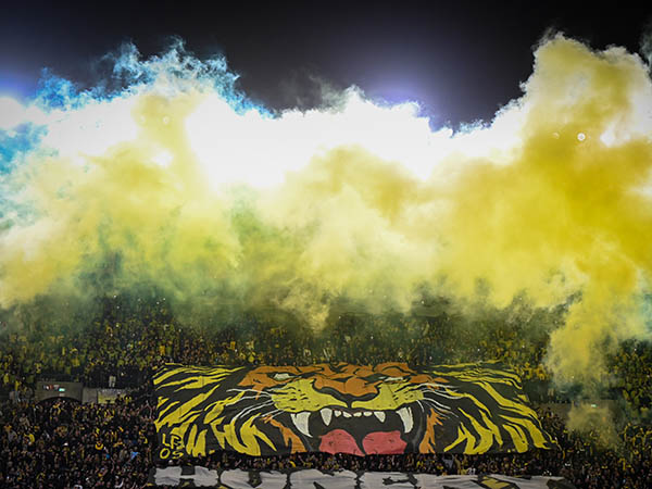 (ברני ארדוב)