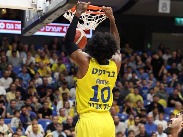 (אלן שיבר)