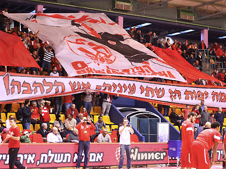 משני הצדדים (אלן שיבר)