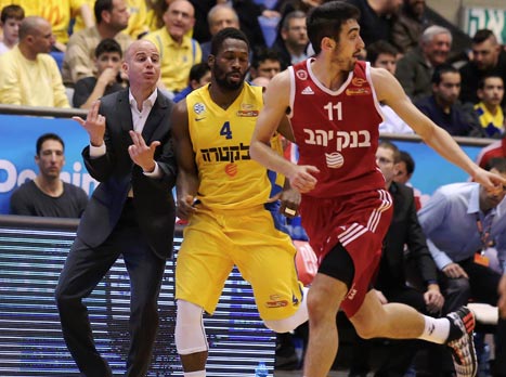 האדומים עם תצוגת תכלית בהיכל (אלן שיבר)