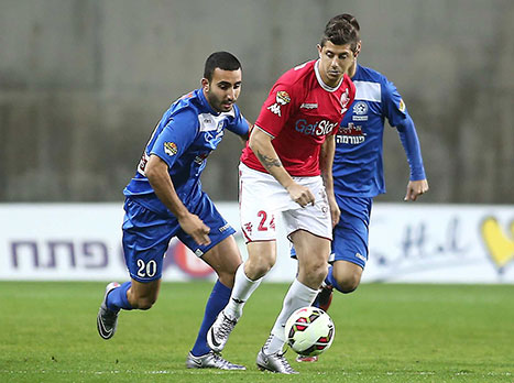 מאמצים להכשיר אותו. מליקסון (צילום: אלן שיבר)