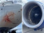 מפחיד: המטוס של יוטה ביצע נחיתת חירום