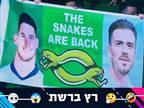 "הנחשים שבו": תשובת רייס וגריליש לאירלנד