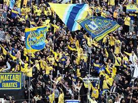 (צילום: אלן שיבר)