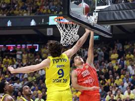 (אלן שיבר)