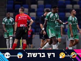 (מאור אלקסלסי)