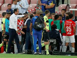 (צילום: אלן שיבר)