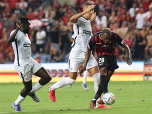 ירושלים שלטה (ברני ארדוב)