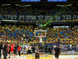 והם יצאו לחגוג. אוהדי מכבי (אלן שיבר)