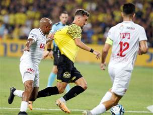 שועה. היה הכי טוב על הדשא (אלן שיבר)