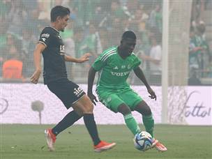 על הדשא, הירוקים נראו לא טוב (צילום: דני מרון)