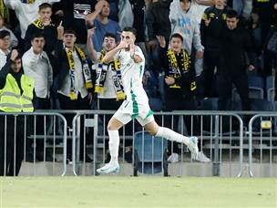 דוד כהרגלו כבש (אלן שיבר)