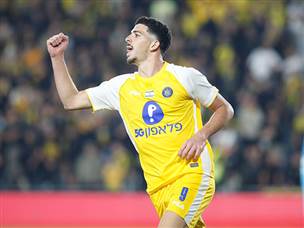 תורג`מן כבש (אלן שיבר)