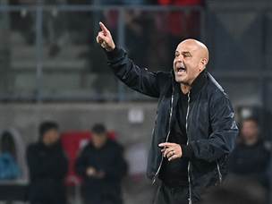 אבוקסיס. יש לו הרבה עבודה (ברני ארדוב)