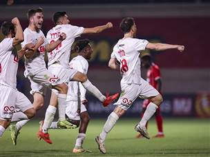 שכבש צמד (צילום: מאור אלקסלסי)