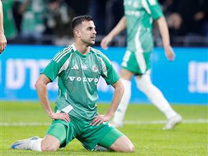 החמצות גדולות של דין דוד (אלן שיבר)