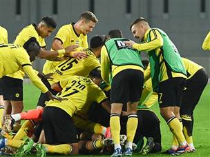 (ברני ארדוב)