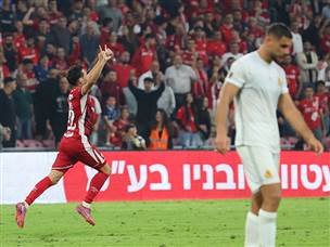 ולופס אמר את המילה האחרונה (אודי ציטיאט)