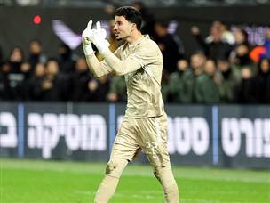 אבל הלילה הזה (אלן שיבר)