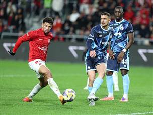 נראה היה שהתיקו בדרך (אלן שיבר)