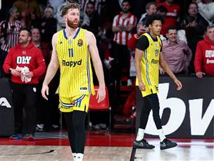 חזרו להפסיד (אלן שיבר)