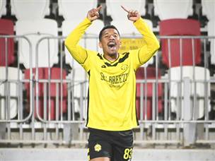 דאבו שילש (ברני ארדוב)