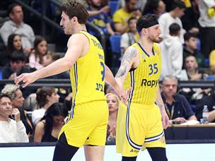 הנקינס גם נראה טוב (אלן שיבר)