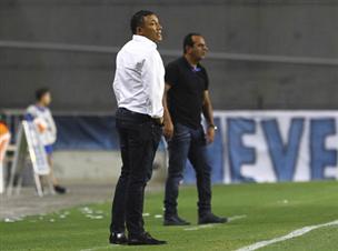 וידיגל. הבטיח לחימה (אלן שיבר)