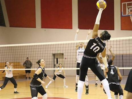 (איגוד הכדורעף)