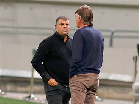 הפגרה הגיעה בזמן (אלן שיבר)