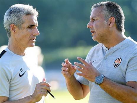 בוטו וקסטרו מאמינים בסולומון