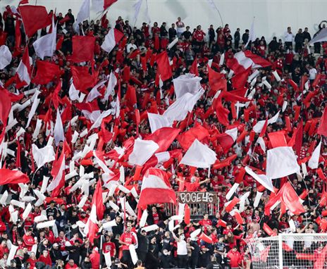 הקהל רוצה פיצוי (אלן שיבר)