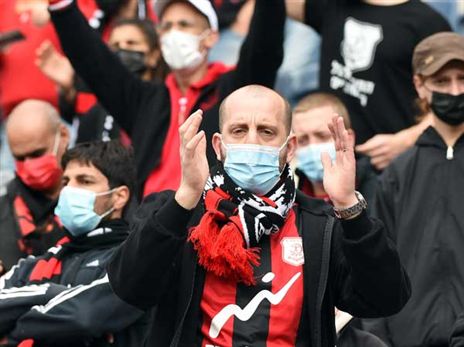 (ברני ארדוב)