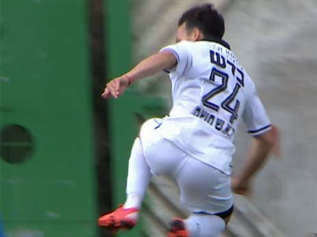 (ברני ארדוב)