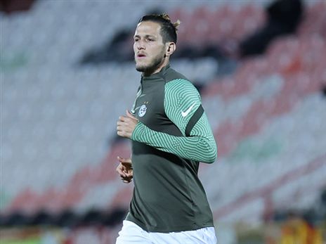 "בצניעות ובעבודה קשה". גרשון מאמין שהירוקים יכולים לשחזר את הישגי העונה (דני מרון)