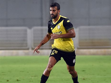 שחף. גם הוא לא בתוכניות (ברני ארדוב)