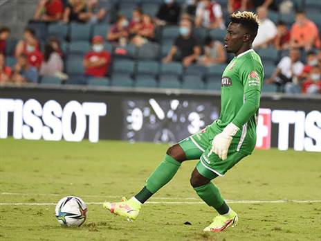 (ברני ארדוב)