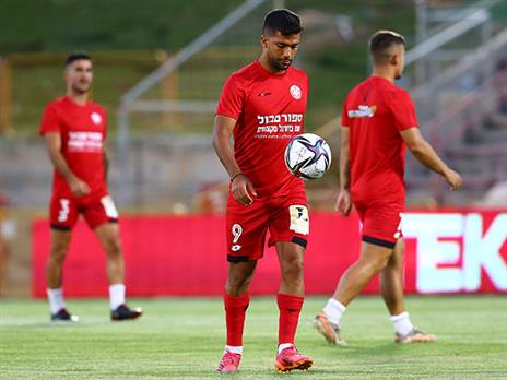 גוזלן. ישחק בכל זאת? (לירן מולדובן)