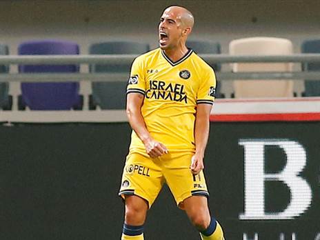 טל בן חיים. פרח מחדש (אלן שיבר)