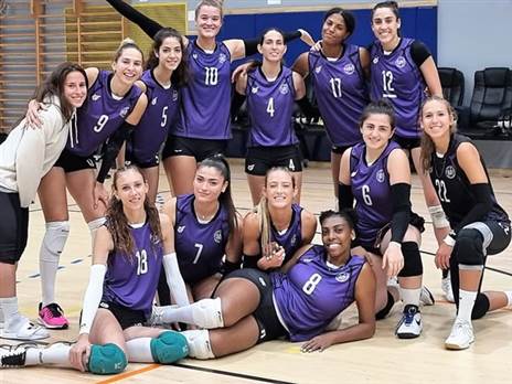 (איגוד הכדורעף)