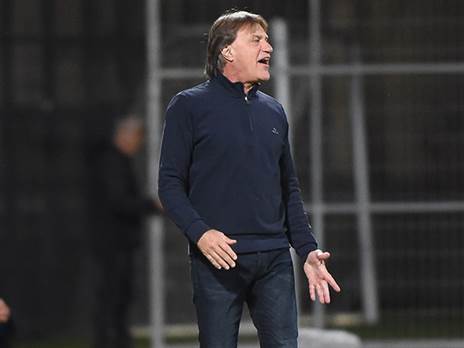 מיני מהפכה בהרכב. דראפיץ' (צילום: ברני ארדוב)