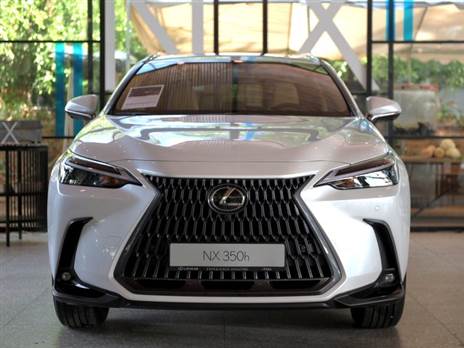 (צילום: בני דויטש)