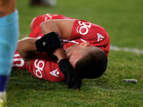 ורד והמצית שנזרקה (אלן שיבר)